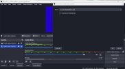 AUDIO INPUT CAPTURE.jpg