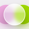 Adjustment Layer